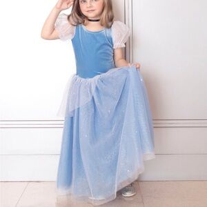 Cinderella princess costume dress